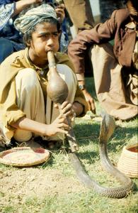 Snake Charmer