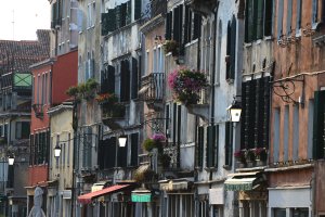 Old man in the window