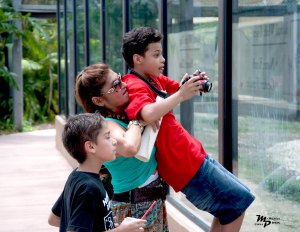 Determined to get the shot