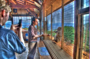 600_1096_7_tonemapped