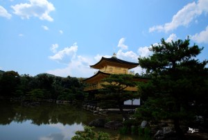 600_1497_8_tonemapped